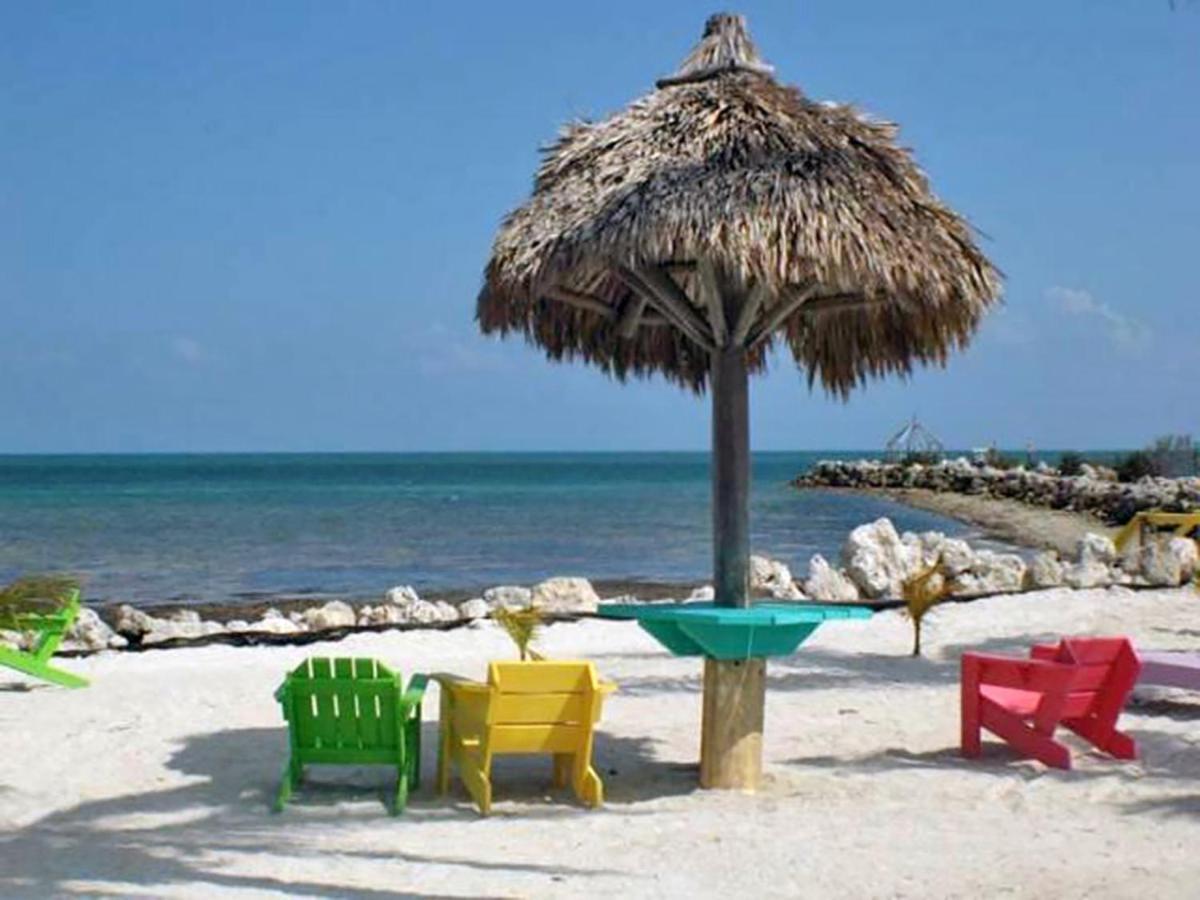 Sea Mist - Oceanfront-Lake-Kayak-Paddleboard-Bike Key Largo Extérieur photo