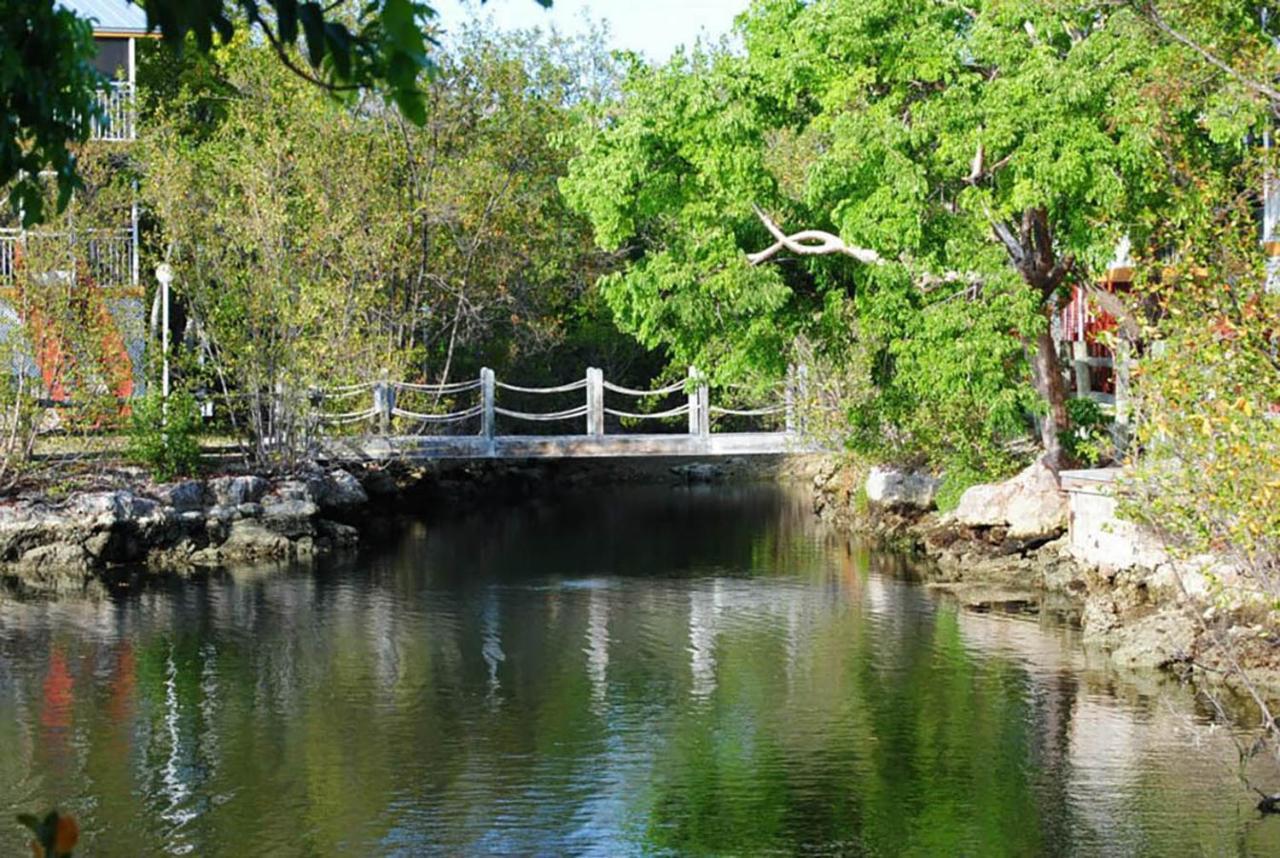 Sea Mist - Oceanfront-Lake-Kayak-Paddleboard-Bike Key Largo Extérieur photo