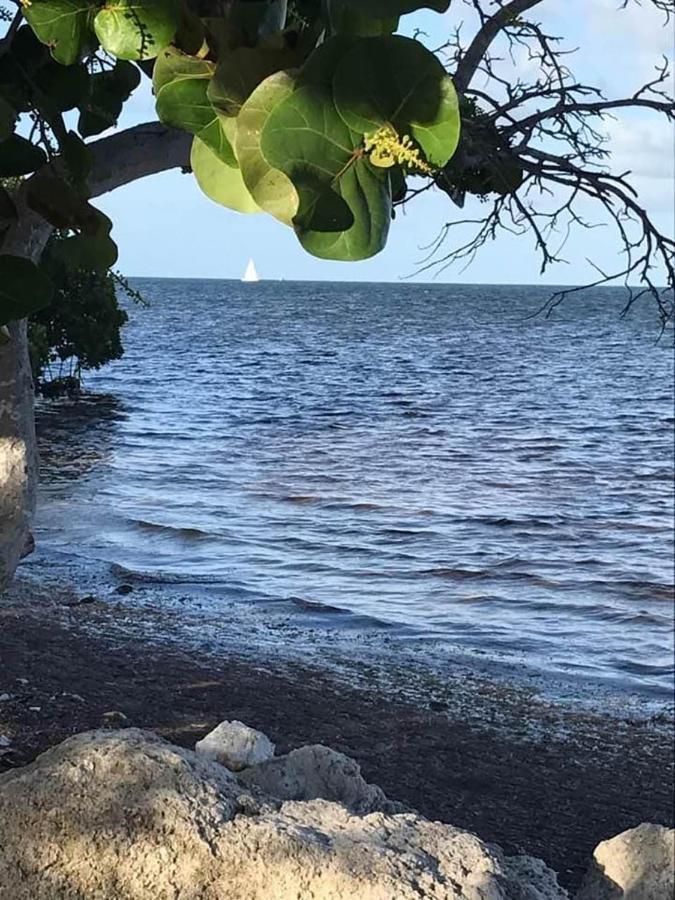 Sea Mist - Oceanfront-Lake-Kayak-Paddleboard-Bike Key Largo Extérieur photo