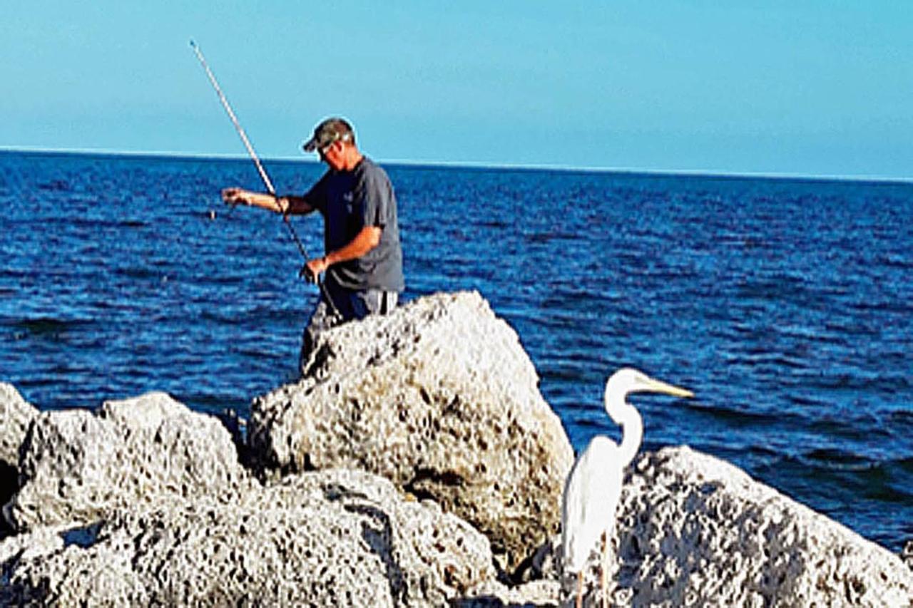 Sea Mist - Oceanfront-Lake-Kayak-Paddleboard-Bike Key Largo Extérieur photo